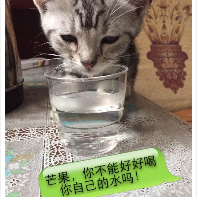 迪保尔大学学历认证